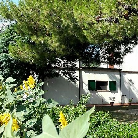 Silos Torrenova Potenza Picena Dış mekan fotoğraf