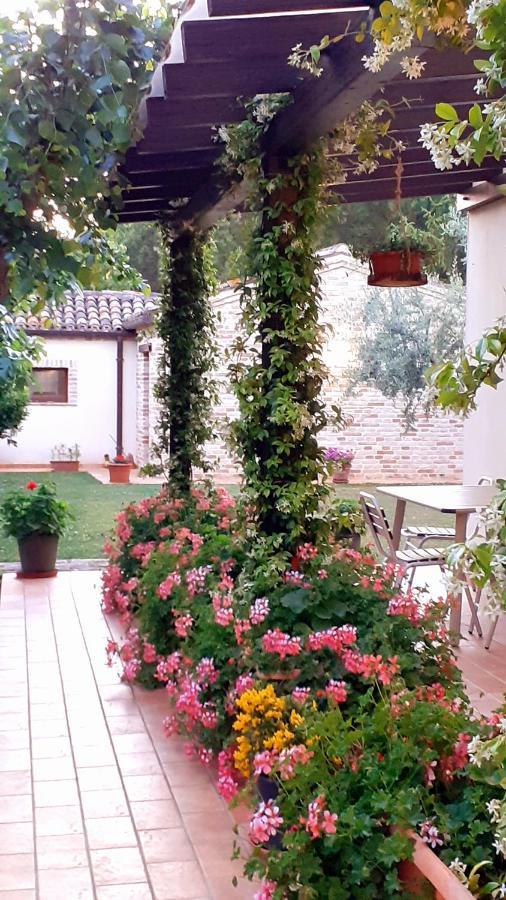 Silos Torrenova Potenza Picena Dış mekan fotoğraf