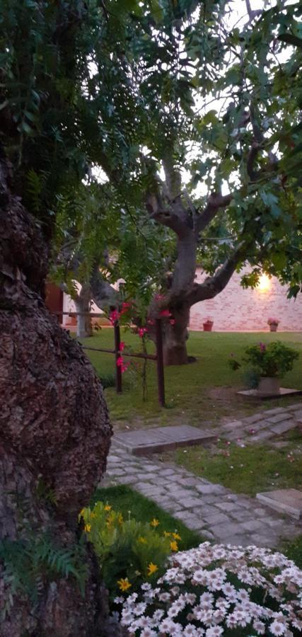 Silos Torrenova Potenza Picena Dış mekan fotoğraf