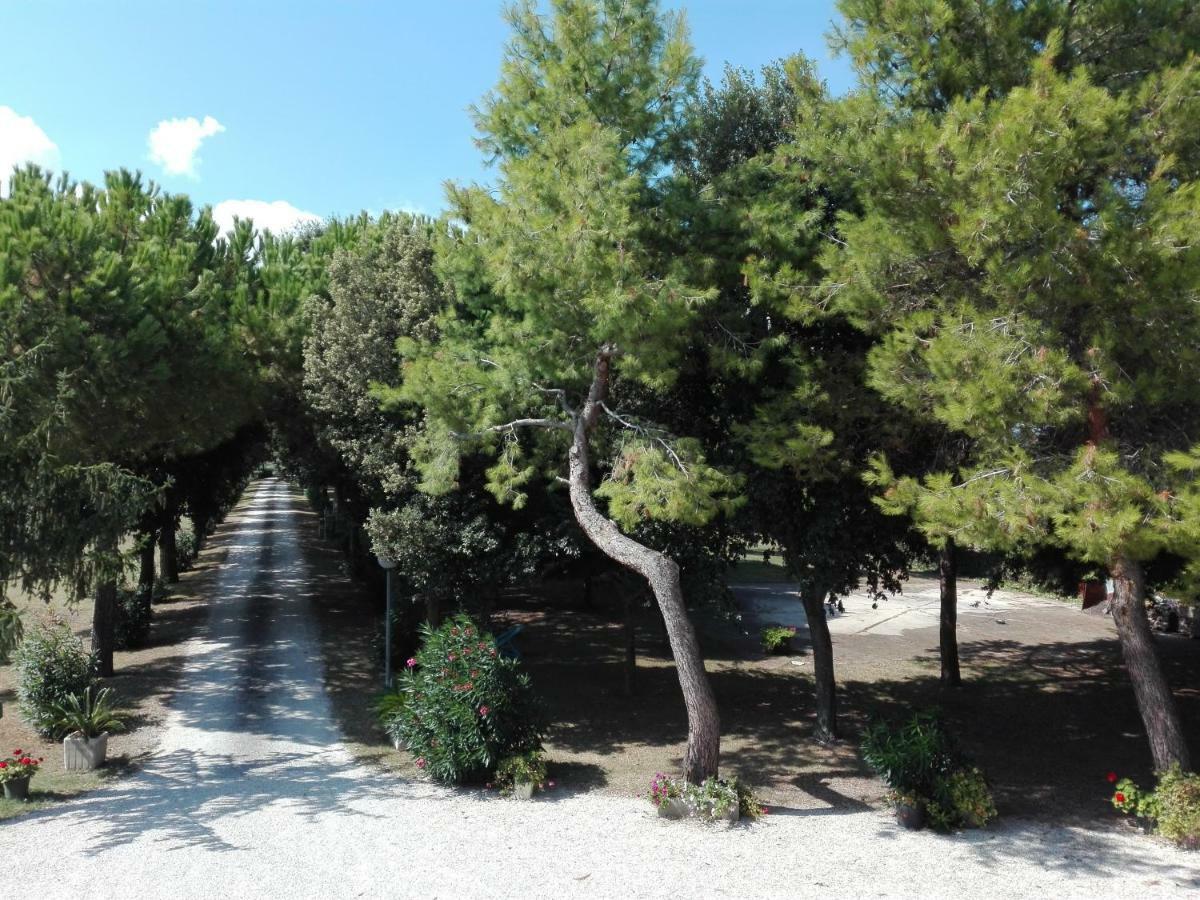 Silos Torrenova Potenza Picena Dış mekan fotoğraf