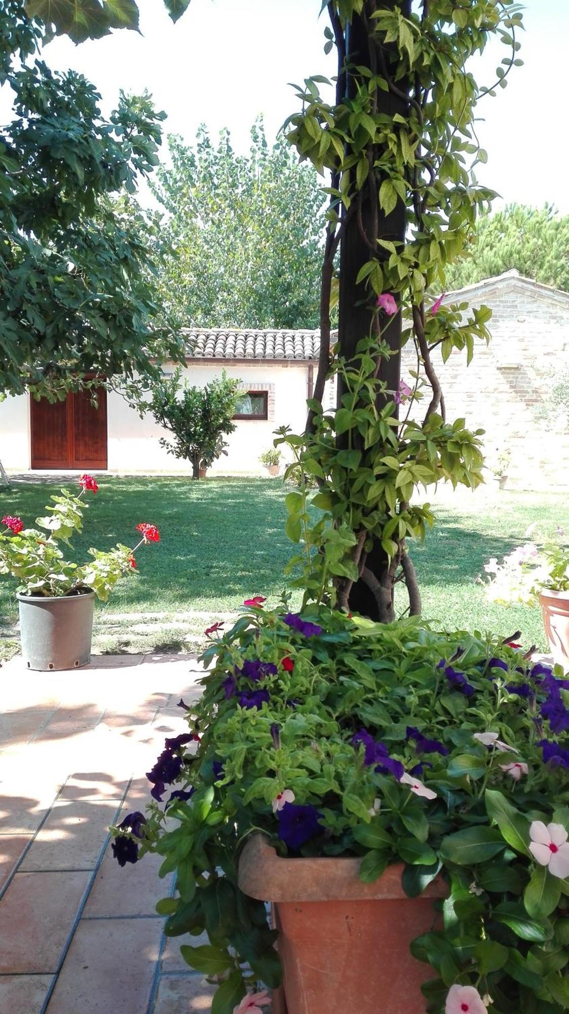 Silos Torrenova Potenza Picena Dış mekan fotoğraf
