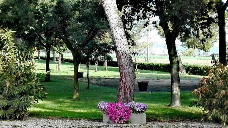 Silos Torrenova Potenza Picena Dış mekan fotoğraf